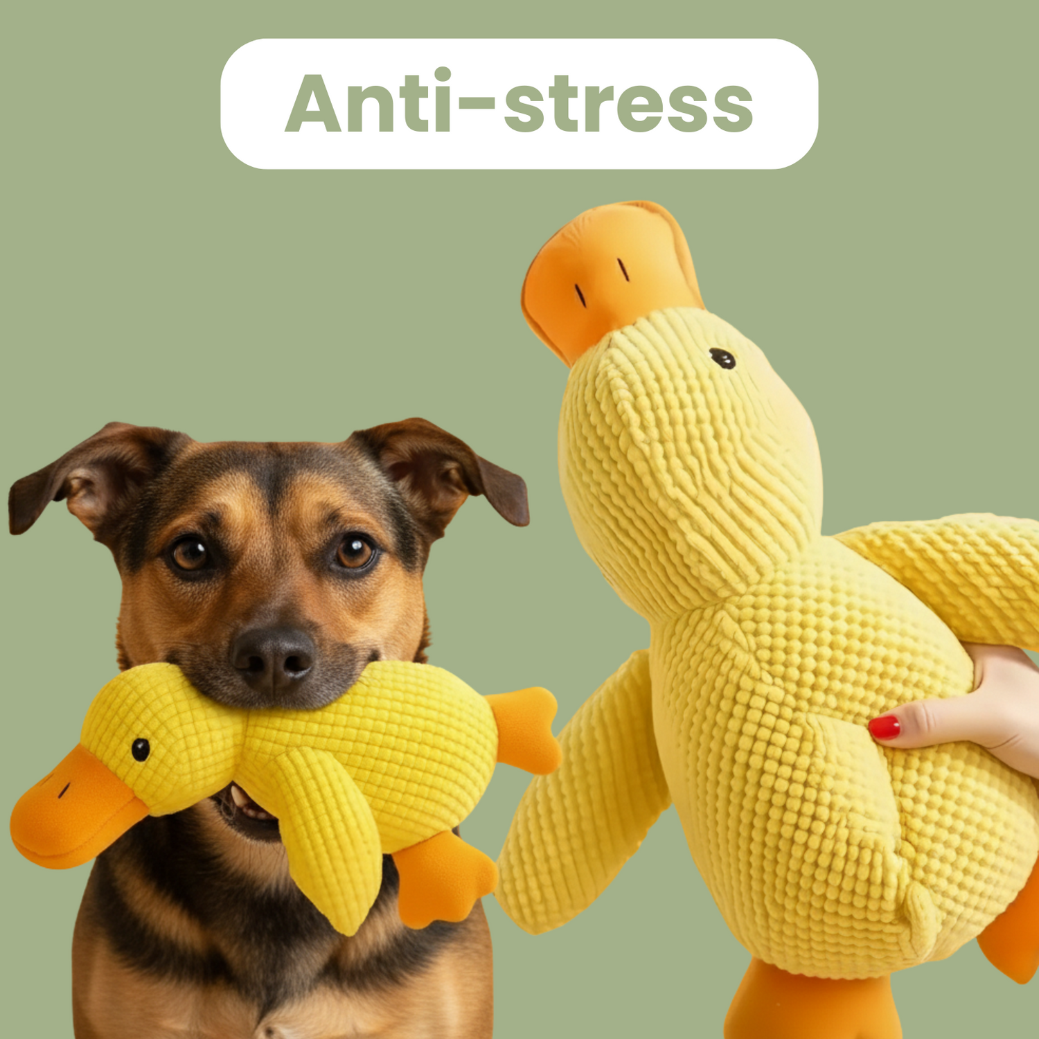 ZenDuck™ - Canard anti-stress.
